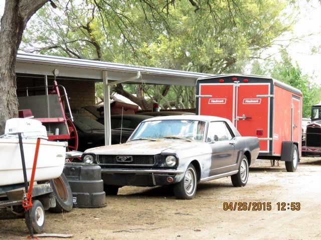Picture of the outing