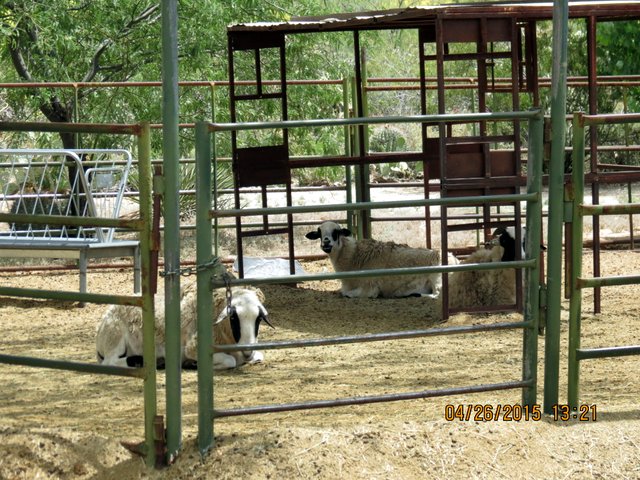 Picture of the outing