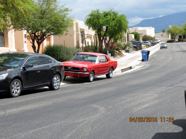 Picture of the outing